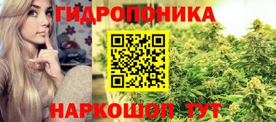 круглые Вязьма