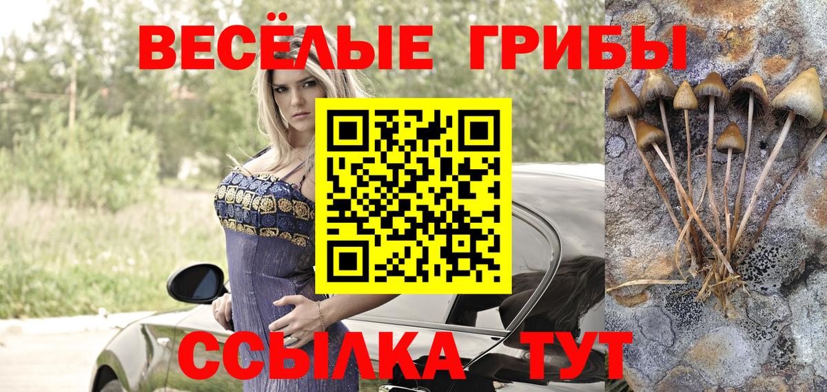 Великие Луки  купить наркотики сайты  Вход с VPN  Псилоцибиновые грибы Magic Shrooms  Псилоцибиновые грибы GOLDEN TEACHER 